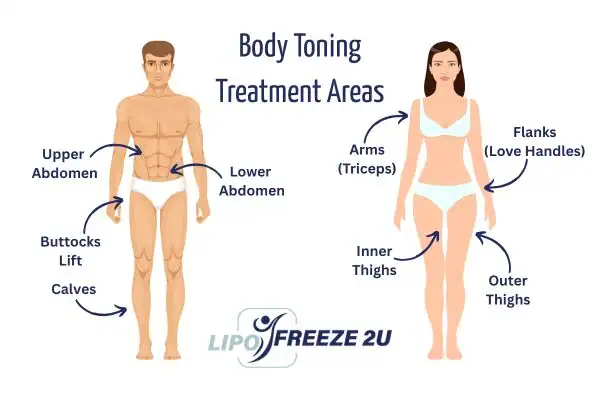 Graphic showing where you can have Body toning Treatment Skegness on your body